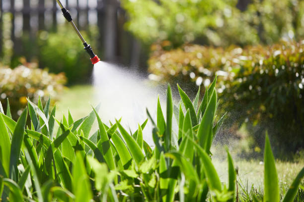 24/7 Emergency Mosquito Control experts in LaGrange, OH