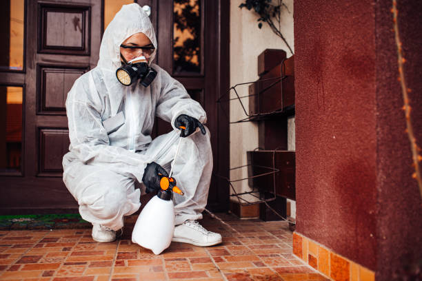Reliable Mosquito Control contractor in LaGrange, OH by Show Me Pest Control